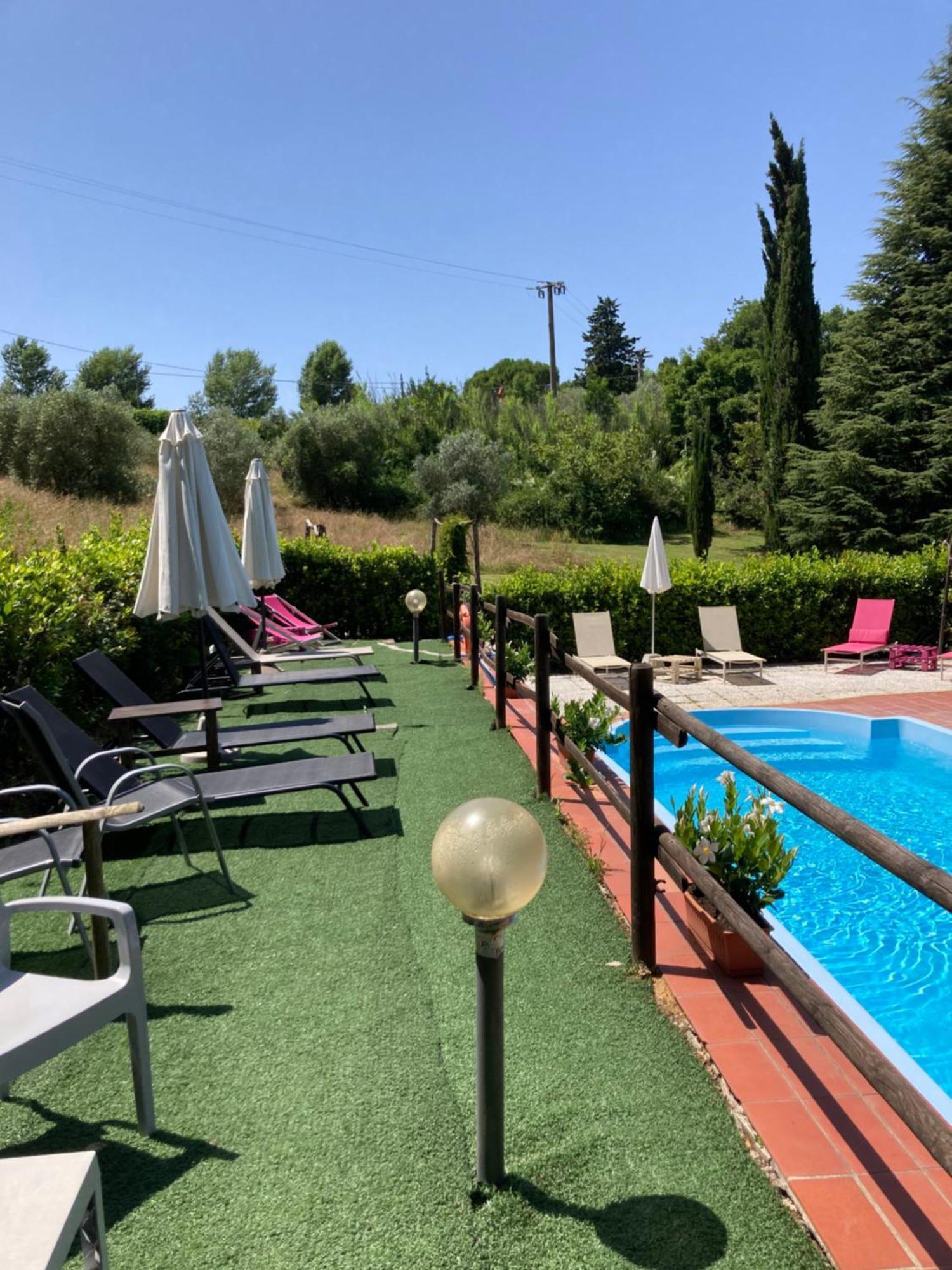 Agriturismo Le Colline Montescudaio Exterior photo